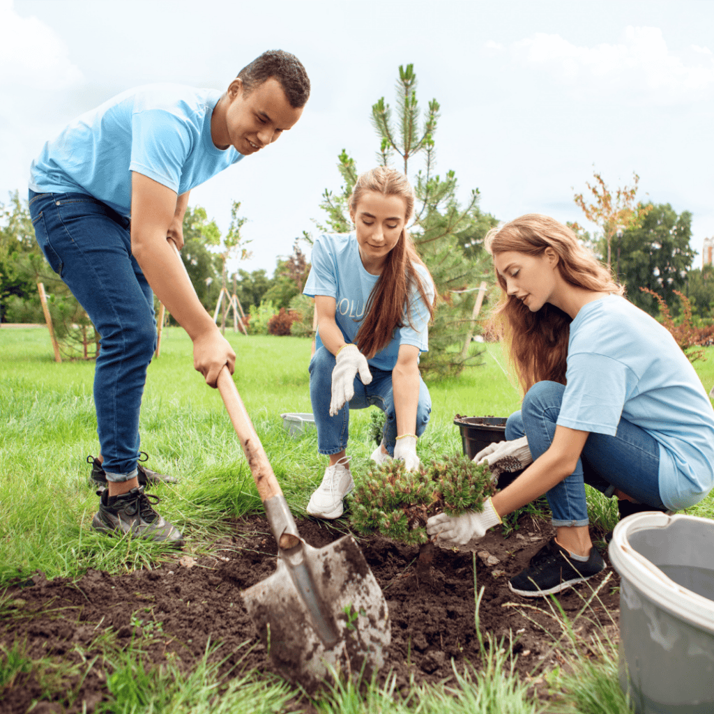 attività di volontariato